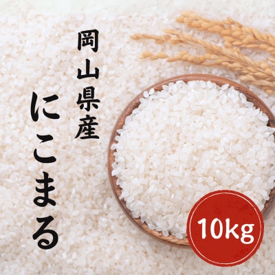 令和7年産 にこまる 岡山県産 10kg(5kg×2) 新米 白米