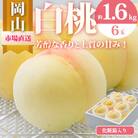 岡山県産　白桃6玉(合計1.6kg以上)