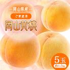 2026年先行予約　岡山黄桃　(ご家庭用)5玉