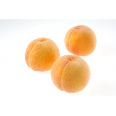 2026年先行予約　岡山黄桃　(ご家庭用)5玉