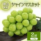 2026年先行予約　岡山県産シャインマスカット　2房(1.2キロ)