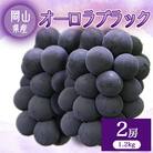 オーロラブラック2房【1.2キロ】