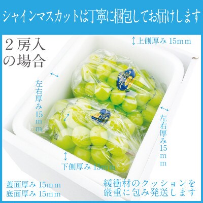 2026年 9月~10月発送 先行予約 シャインマスカット 晴王 2房 約1.1kg 岡山県産