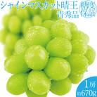 2026年 9月~10月発送 先行予約 シャインマスカット 晴王 1房 約670g 岡山県産