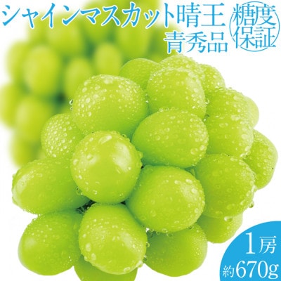 2026年 9月~10月発送 先行予約 シャインマスカット 晴王 1房 約670g 岡山県産
