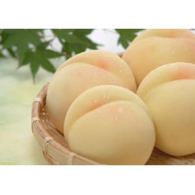 岡山県産白桃B　5～7玉(約1.4kg)