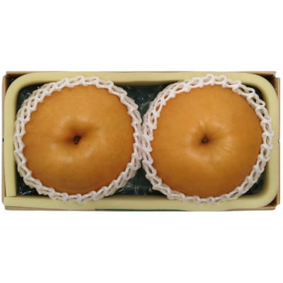 岡山県産あたご梨 B　2玉(約1.6kg)