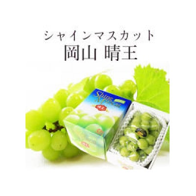 【2026年8月下旬から発送】岡山県産 シャインマスカット「晴王」(1房700g以上)1房入り