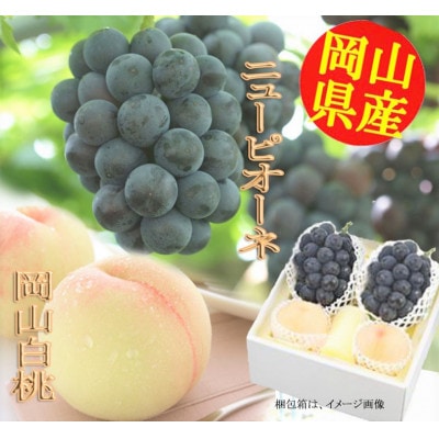 【2026年7月下旬より順次発送】岡山県産フルーツ詰合せ/白桃2玉・ニューピオーネ2房