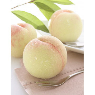 【2026年7月下旬より順次発送】岡山県産フルーツ詰合せ/白桃2玉・ニューピオーネ2房