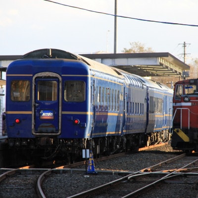 小坂鉄道レールパークエンジョイチケット(入場券+トロッコ+レールバイク)大人1名+子ども1名