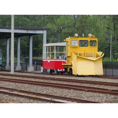 小坂鉄道レールパークエンジョイチケット(入場券+トロッコ+レールバイク)大人1名+子ども1名