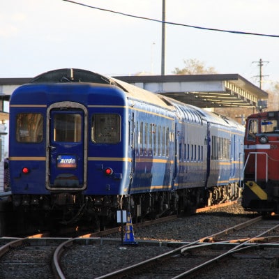 小坂鉄道レールパークエンジョイチケット(入場券+トロッコ+レールバイク)大人1名