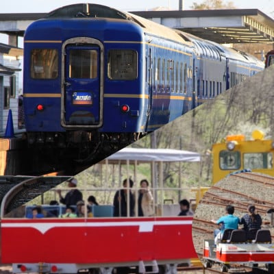 小坂鉄道レールパークエンジョイチケット(入場券+トロッコ+レールバイク)大人2名