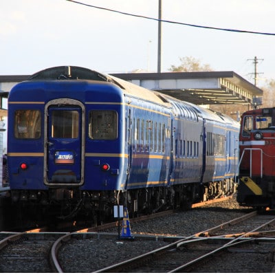 小坂鉄道レールパークエンジョイチケット(入場券+トロッコ+レールバイク)大人2名