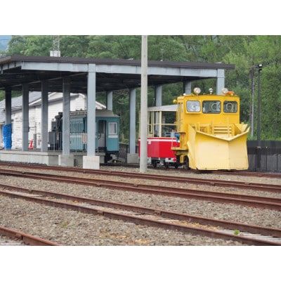 小坂鉄道レールパークエンジョイチケット(入場券+トロッコ+レールバイク)大人2名