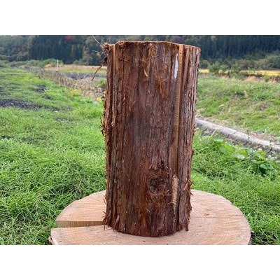 スウェーデントーチ【杉】高さ30cm×1個