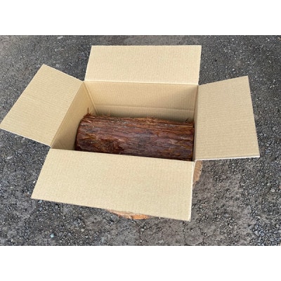 スウェーデントーチ【杉】高さ30cm×1個