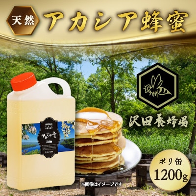 はちみつ 天然十和田 アカシア蜂蜜 1200g ポリ缶 沢田養蜂場 小坂町