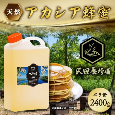 はちみつ 天然十和田 アカシア蜂蜜 2400g ポリ缶 沢田養蜂場 小坂町