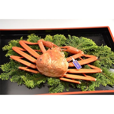 【2020年9月-11月出荷】極上蒸し紅ズワイガニ　1匹(約800g以上)