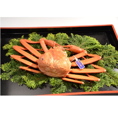 魚津漁業協同組合の極上蒸し紅ズワイガニ(1匹)
