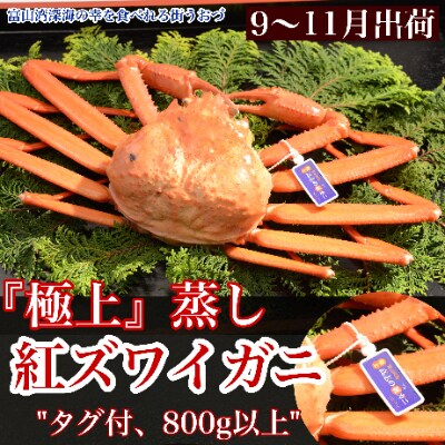 【2021年9月-11月出荷】魚津漁業協同組合の極上蒸し紅ズワイガニ(1匹)