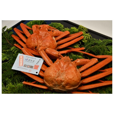 【2021年9月-11月出荷】魚津漁業協同組合の蒸し紅ズワイガニ(2匹)