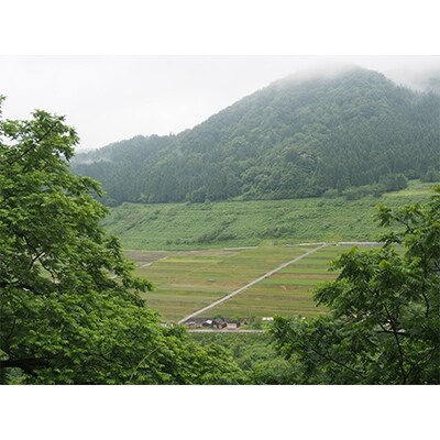 天日干し自然栽培米こしひかり「富の環」　玄米10kg【北アルプス早月川最上流の棚田米】