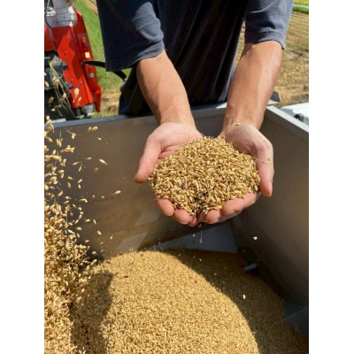 【新米】天日干し こしひかり「富の環」　玄米5kg【北アルプス早月川最上流の棚田米】