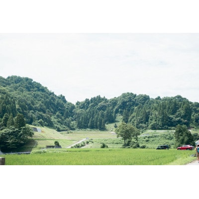 【新米】天日干し こしひかり「富の環」　玄米10kg【北アルプス早月川最上流の棚田米】