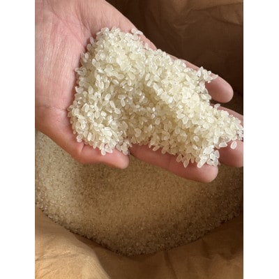 【新米】環境保全米こしひかり　白米5kg【北アルプス早月川最上流の棚田米】