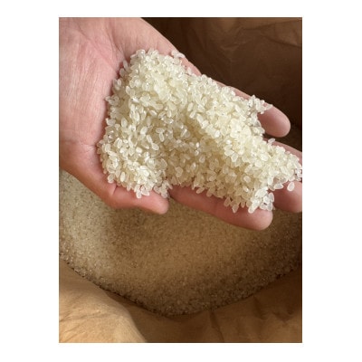 【新米】環境保全米こしひかり　白米10kg【北アルプス早月川最上流の棚田米】