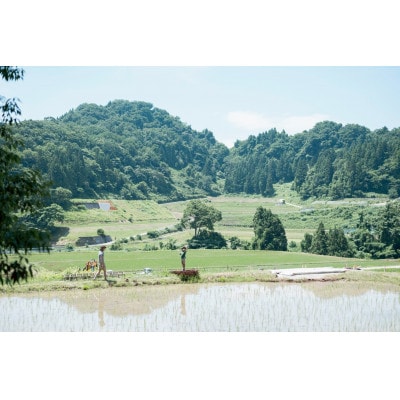 【新米】環境保全米　富富富　白米5kg【北アルプス早月川最上流の棚田米】