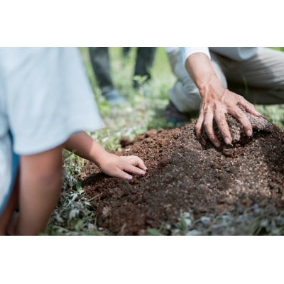 【発送月固定定期便】1.3.5.7.9.11月　コシヒカリ環境保全米　白米5kg　全6回