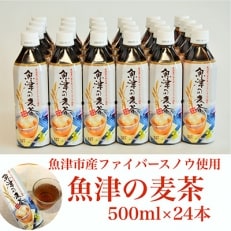 魚津の麦茶 500ml 24本 