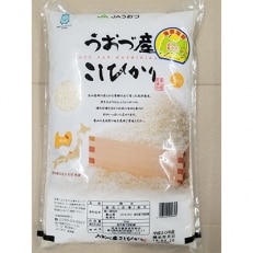 令和5年産 コシヒカリ白米5kg富山県うおづ産