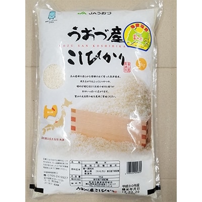 コシヒカリ白米5kg富山県うおづ産