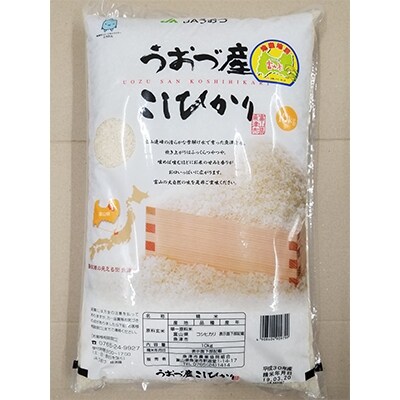 令和2年産　コシヒカリ白米10kg　富山県うおづ産