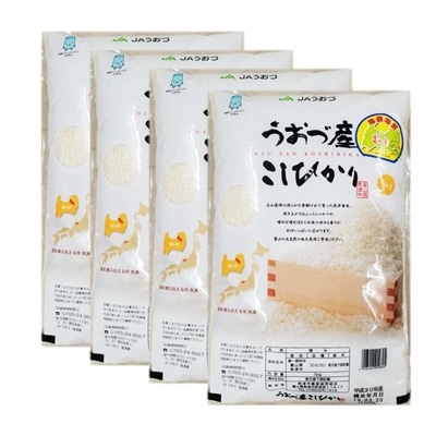 コシヒカリ白米20kg(5kg×4袋)富山県うおづ産