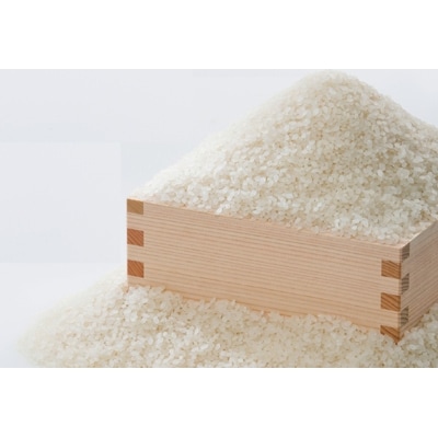 コシヒカリ白米20kg(5kg×4袋)富山県うおづ産