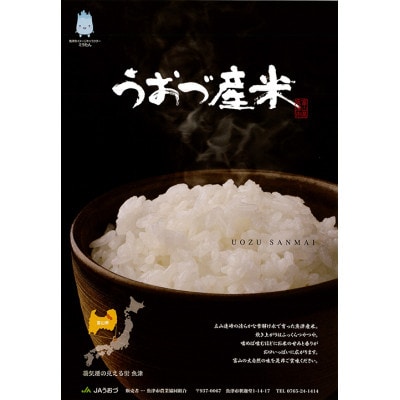 【毎月定期便】【9ヶ月定期便】富山県 　うおづ産米「コシヒカリ」5kg(精米)全9回