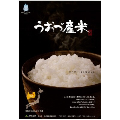 【毎月定期便】【9ヶ月定期便】富山県 　うおづ産米「コシヒカリ」20kg(5kg×4袋)全9回