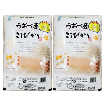 2020年10月発送開始『定期便』富山県うおづ産コシヒカリ10kg(5kg×2袋)全6回