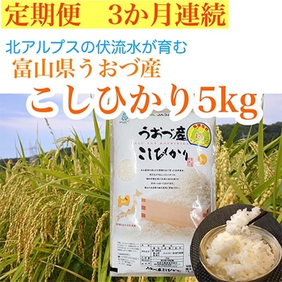 2022年4月発送開始『定期便』富山県うおづ産コシヒカリ5kg×全3回