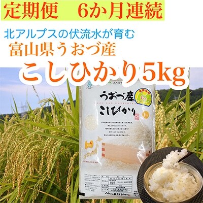 2022年4月発送開始『定期便』富山県うおづ産コシヒカリ5kg×全6回