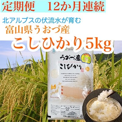 2022年4月発送開始『定期便』富山県うおづ産コシヒカリ5kg×全12回