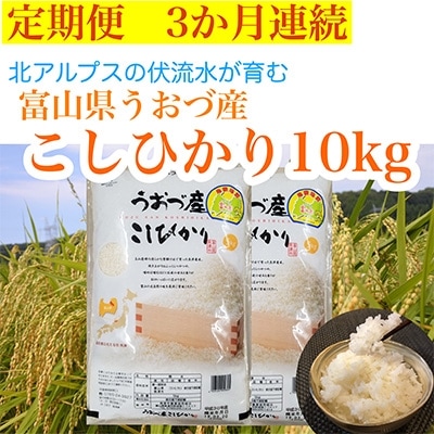 2022年4月発送開始『定期便』富山県うおづ産コシヒカリ10 kg(5kg×2袋)×全3回