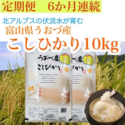 2022年4月発送開始『定期便』富山県うおづ産コシヒカリ10kg(5kg×2袋)×全6回