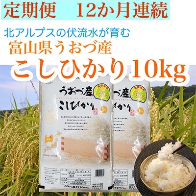 2022年4月発送開始『定期便』富山県うおづ産コシヒカリ10kg(5kg×2袋)×全12回